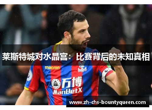 莱斯特城对水晶宫:比赛背后的未知真相 莱斯特城对水晶宫:比赛背后的未知真相